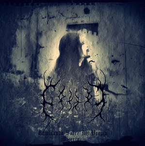 Caminando Sobre Mi Propia Miseria